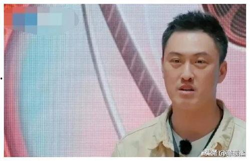 吃瓜了娱乐圈,揭秘“吃瓜了”背后的真相与热点事件